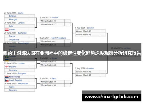 佩德里对阵法国在亚洲杯中的稳定性变化趋势深度观察分析研究报告